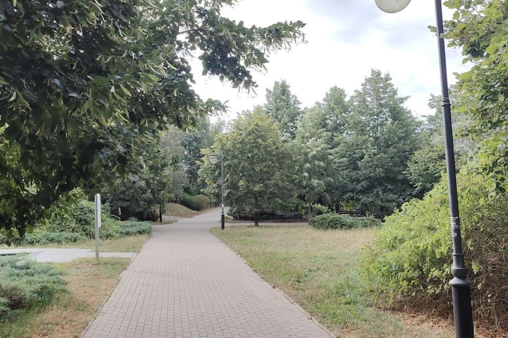 Zielona Wiolinowa * Warszawa