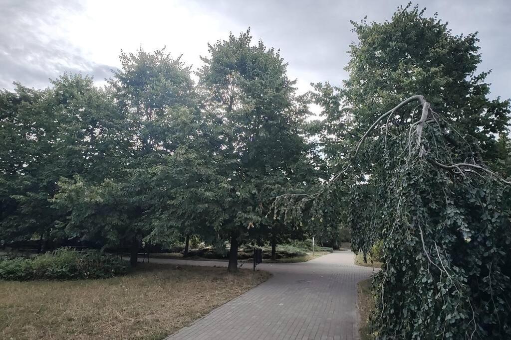 Apartament Zielona Wiolinowa