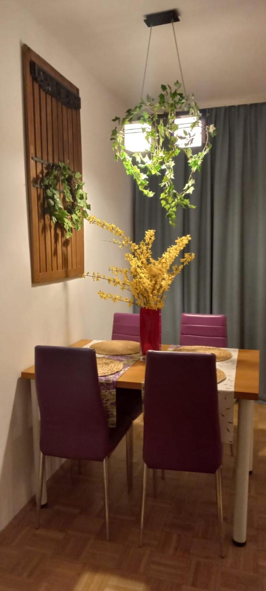 Zielona Wiolinowa Apartament *